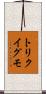トリクイグモ Scroll