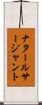ナタールサージャント Scroll