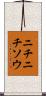 ニチニチソウ Scroll