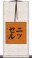 ニッセル Scroll