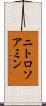 ニトロソアミン Scroll