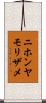 ニホンヤモリザメ Scroll