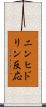ニンヒドリン反応 Scroll