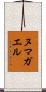ヌマガエル Scroll