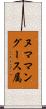 ヌママングース属 Scroll