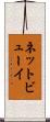 ネットビューイ Scroll