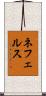 ネフェルス Scroll