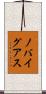 ノバイグアス Scroll