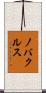 ノバクルス Scroll