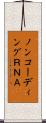 ノンコーディングＲＮＡ Scroll
