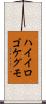 ハイイロゴケグモ Scroll