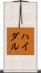 ハイダル Scroll