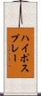 ハイポスプレー Scroll