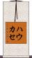 ハウカセ Scroll