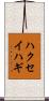 ハクセイハギ Scroll