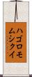 ハゴロモムシクイ Scroll