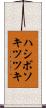 ハシボソキツツキ Scroll