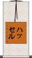 ハッセル Scroll