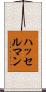 ハッセルマン Scroll