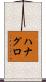 ハナグロ Scroll