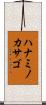 ハナミノカサゴ Scroll