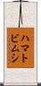 ハマトビムシ Scroll