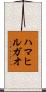 ハマヒルガオ Scroll
