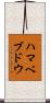 ハマベブドウ Scroll