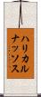 ハリカルナッソス Scroll