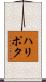 ハリポタ Scroll