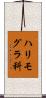 ハリモグラ科 Scroll