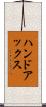 ハンドアックス Scroll