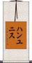 ハンユニス Scroll