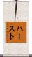 ハースト Scroll