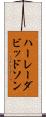 ハーレーダビッドソン Scroll