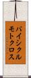 バイシクル・モトクロス Scroll