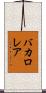 バカロレア Scroll