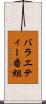 バラエティー番組 Scroll