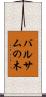 バルサムの木 Scroll