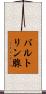 バルトリン腺 Scroll