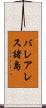 バレアレス諸島 Scroll