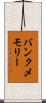 バンク・メモリー Scroll