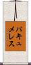 パキュメレス Scroll