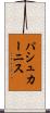 パシュカーニス Scroll