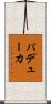 パデューカ Scroll
