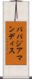 パパジアマンディス Scroll