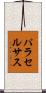 パラセルサス Scroll