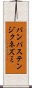 パンパステンジクネズミ Scroll