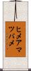 ヒメアマツバメ Scroll