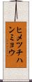 ヒメツチハンミョウ Scroll